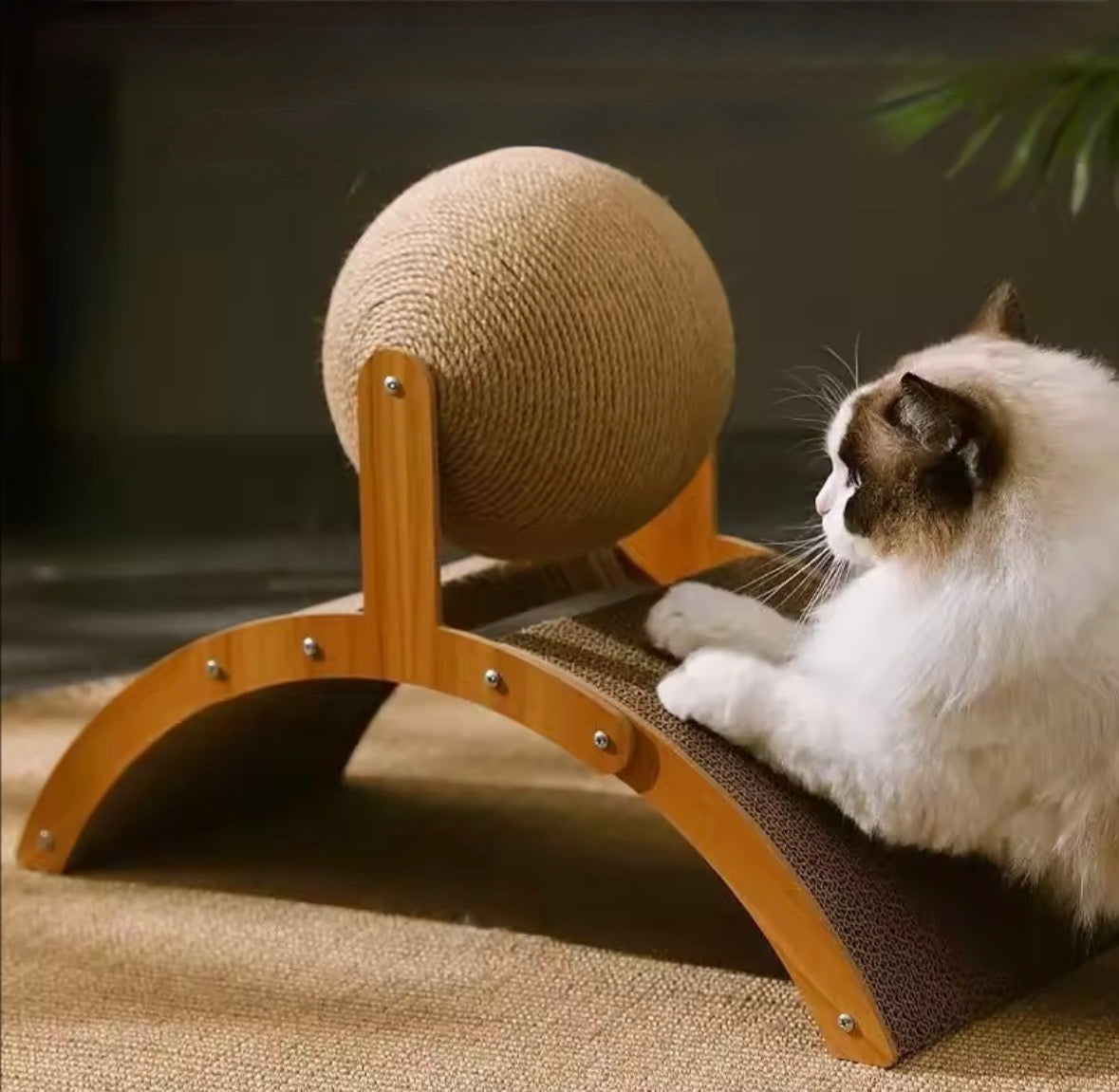 Griffoir design pour chat