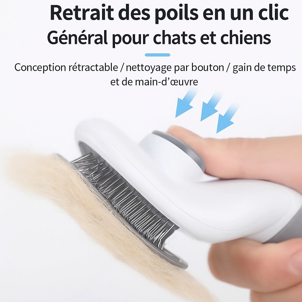Brosse pour chien et chat (push-up)