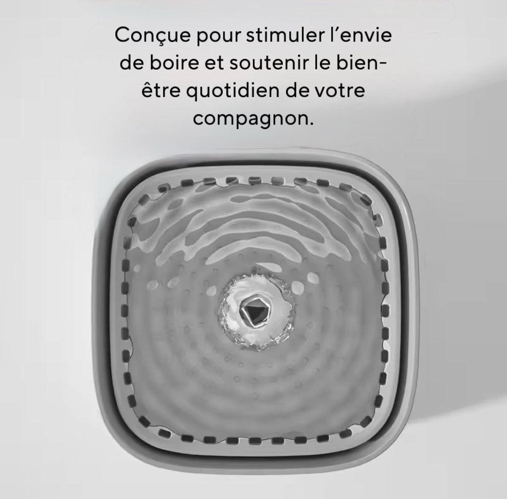 Fontaine à eau