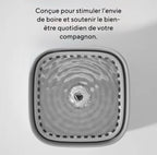 Fontaine à eau
