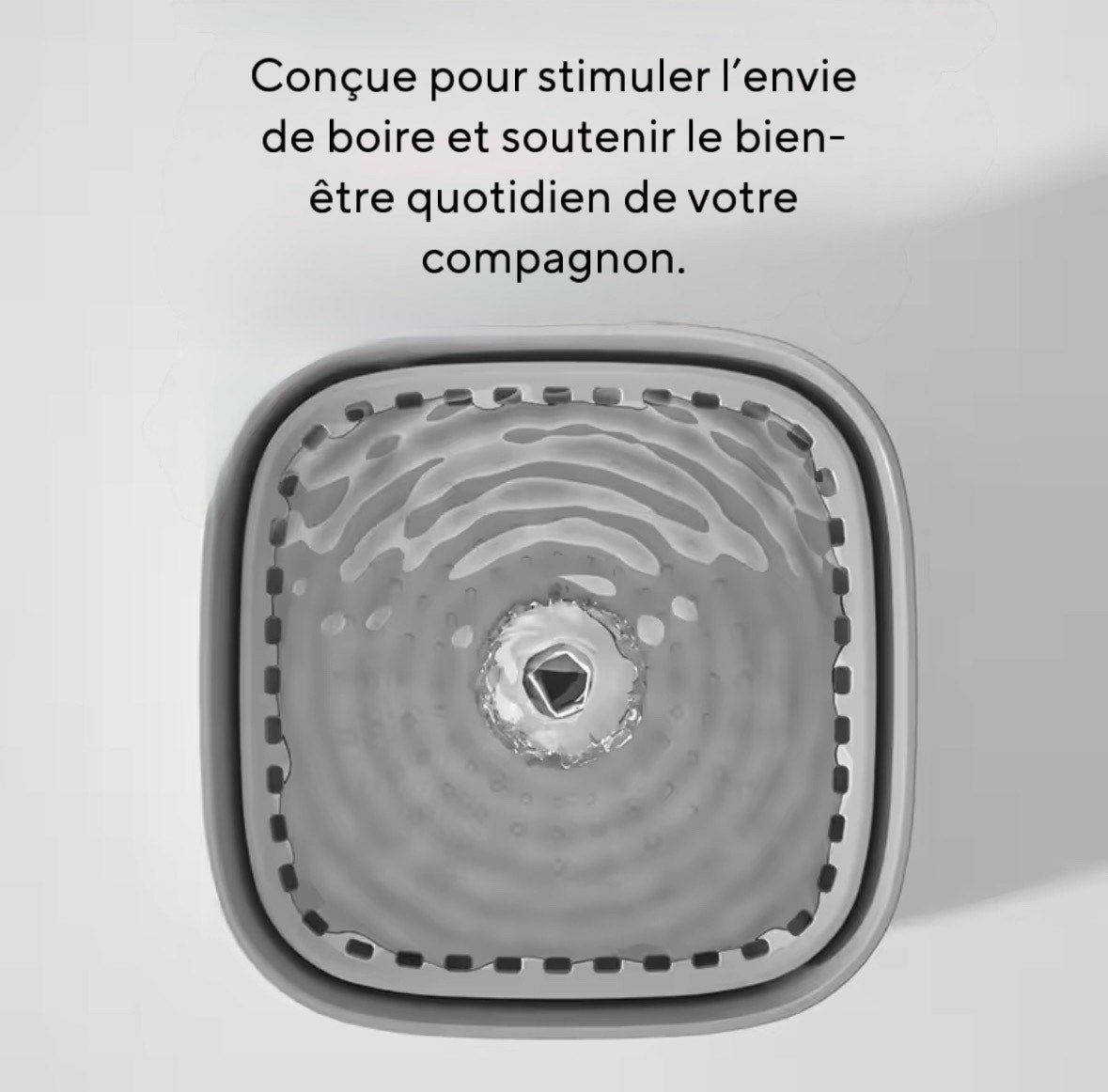 Fontaine à eau