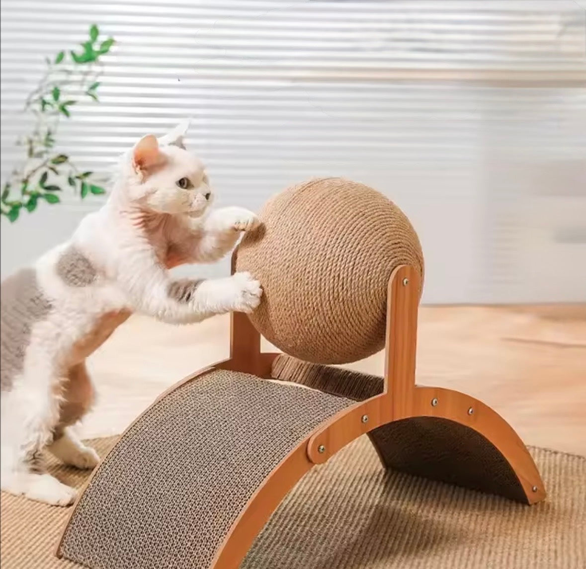 Griffoir design pour chat