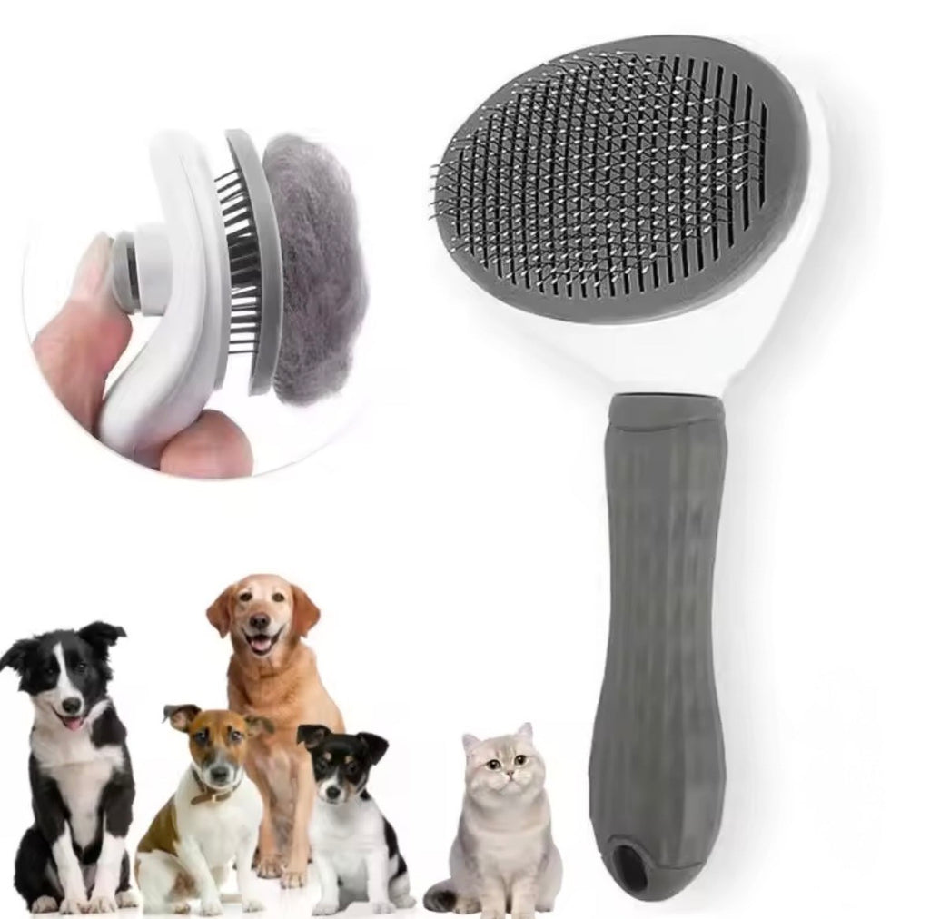 Brosse pour chien et chat (push-up)