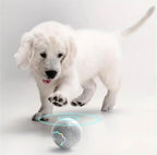 Balle intelligente pour Chien