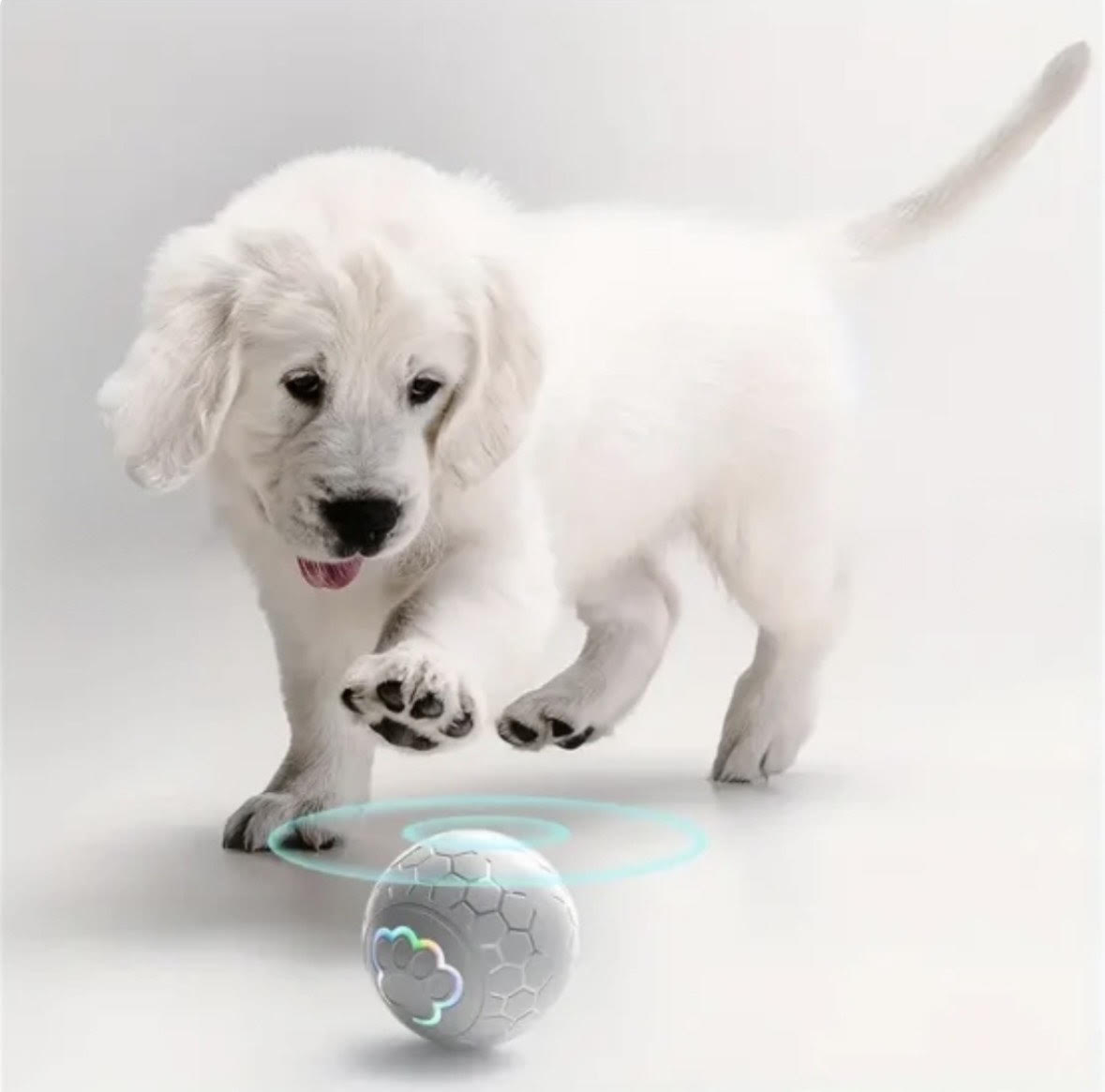 Balle intelligente pour Chien